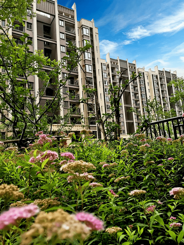 幸福起航欢迎回家丨九江富力尚悦居洋房盛大交房