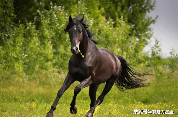 财大气粗的"生肖马",未来6天囍囍囍"不请自来",马上行动吧!