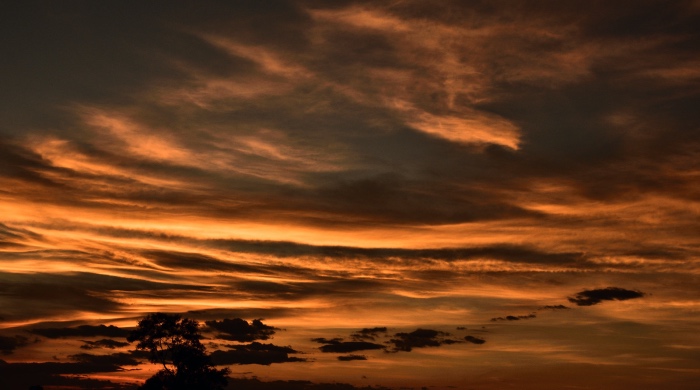 董明珠亲自“削藩”，格力电器开启第三次渠道革命-家电圈官网