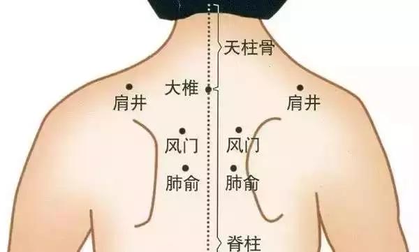 身柱:在背部,当后正中线上,第3胸椎棘突下凹陷中