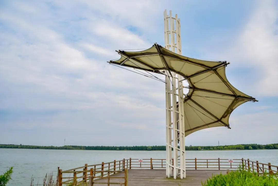 今日芒种春争日夏争时不负明珠湖畔诗意时光