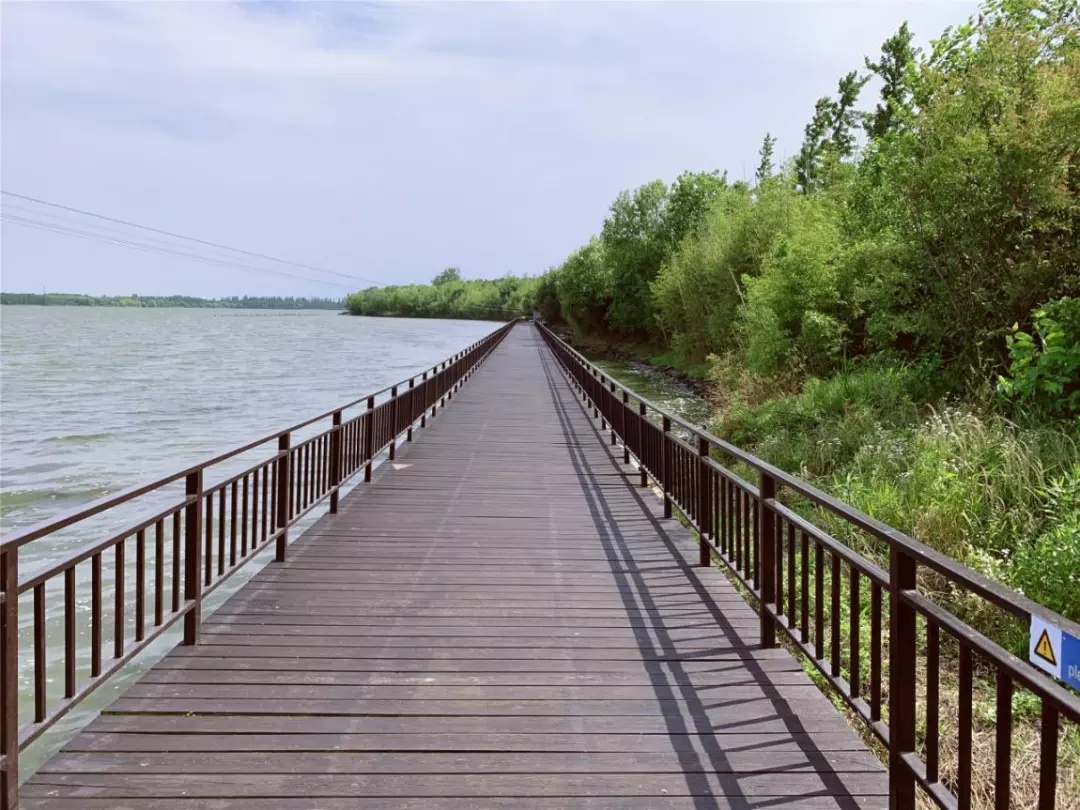 今日芒种春争日夏争时不负明珠湖畔诗意时光