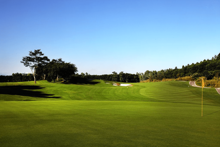 人造高尔夫草坪的相关介绍