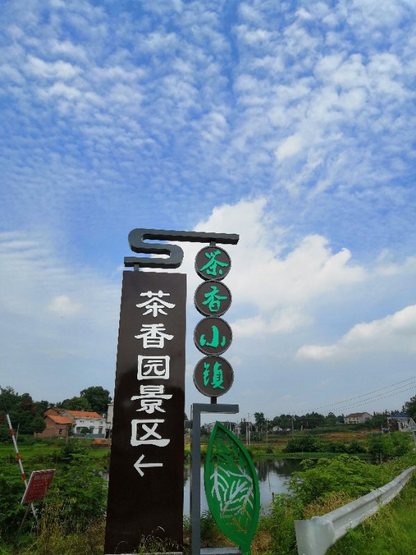 黄建芳丨茶香小镇香十里