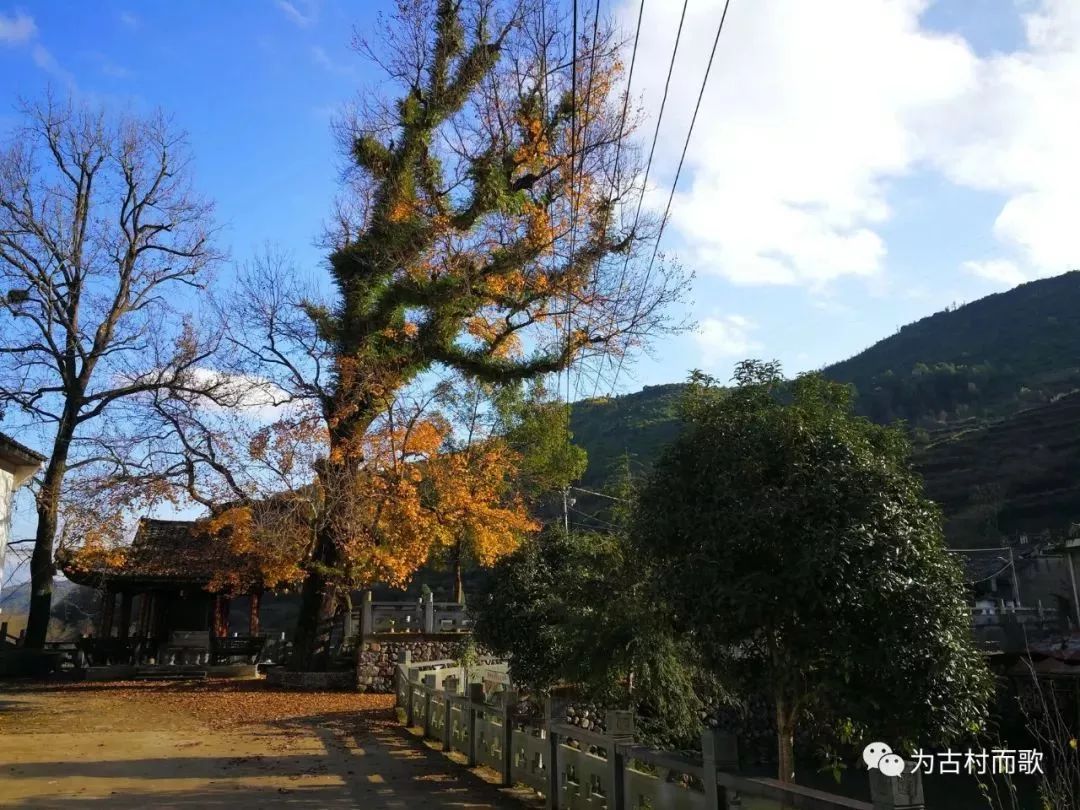 楠溪江這個村跟三國典故同名,寨門寨牆好氣派!