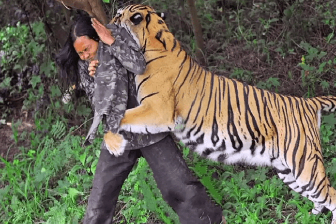 外国一女子放生老虎5年后人虎相遇老虎直接扑上去咬住她的头