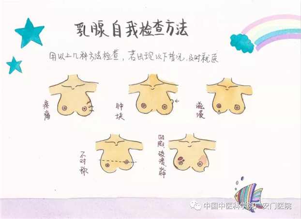 乳腺自检小科普广安门医院护理科普漫画图册优秀作品展