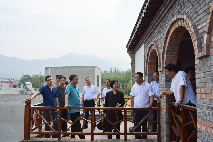 巩义市委常委,组织部长景雪萍带队到涉村镇调研美丽乡村建设工作