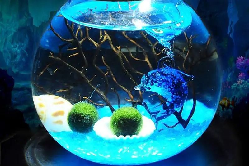 微景观diy手 作 馆海 洋 纪 念 品小朋友们get到了不少海洋知识呢各种