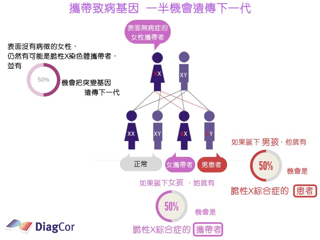 传男不传女一文读懂脆性x综合征