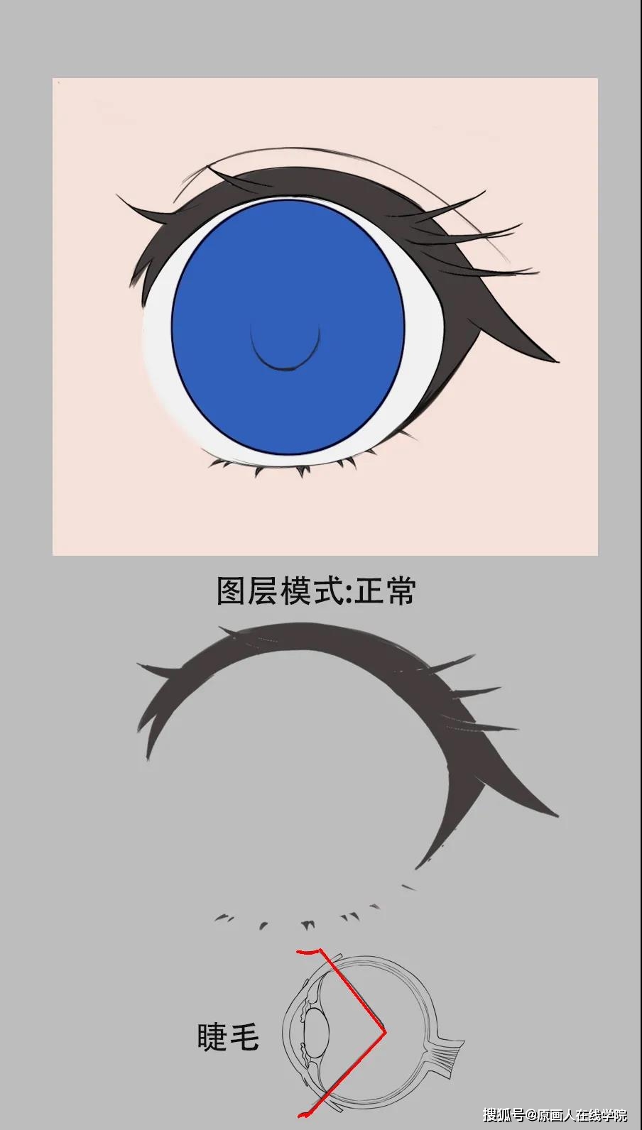 原画人插画教程大佬教你画水兵月大眼睛