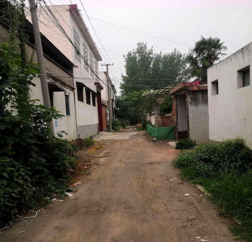 近日,有网友不断给小编反映:这两天下了雨,在临颍县城中村大墓罗村内