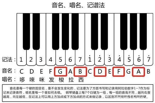 乔迪小课堂|乐理知识干货—五线谱篇