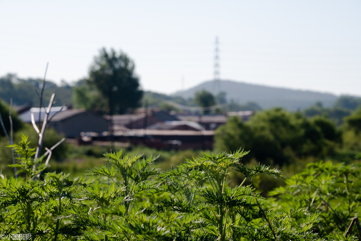 图片故事,远方的家,这个端午节你回家吗?