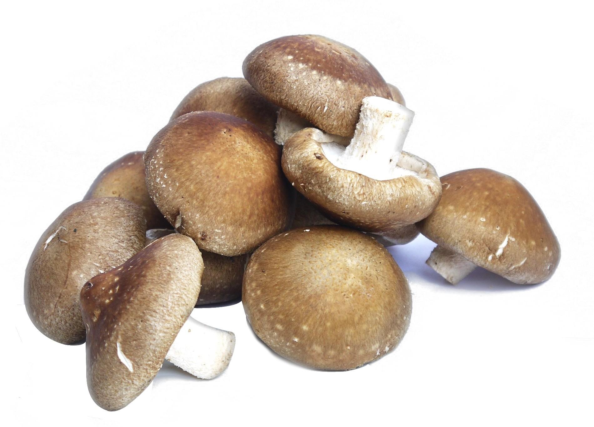 得了痛风啥都不能吃太痛苦,豆制品,蘑菇,木耳究竟能不能吃?