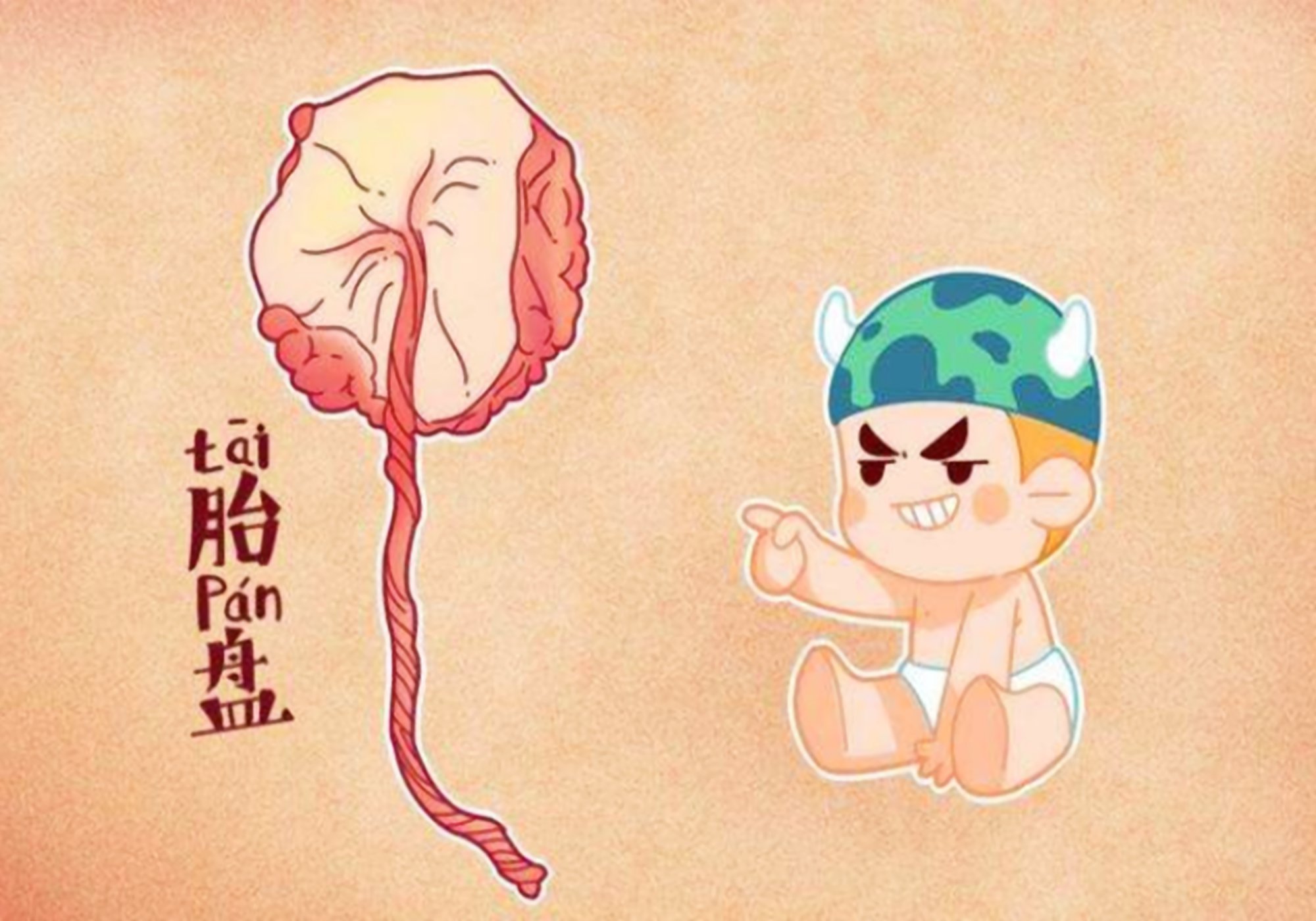 胎盘处理方法是埋还是吃这几种方法孕妈们会选择哪个