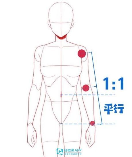 怎么画动漫人物的手臂?手臂的绘画小技巧