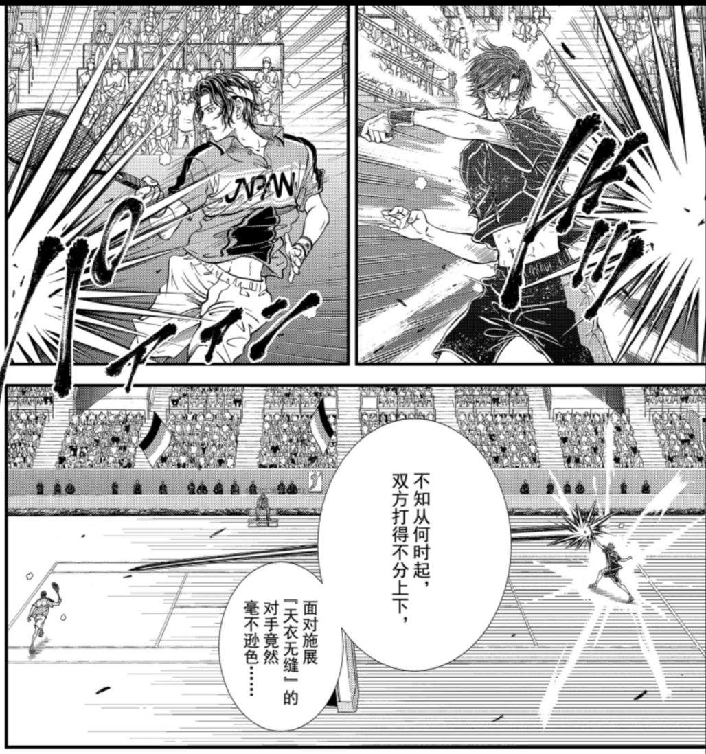 新网球王子:宿命的巅峰对决——幸村精市 vs 手冢国光!