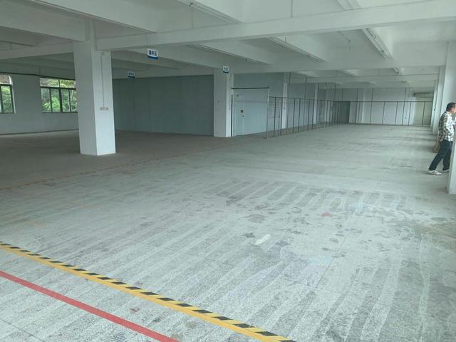 东莞厂房出租市场：新兴企业的新起点