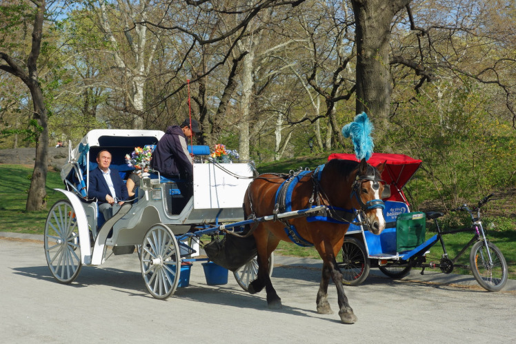 经常出现在好莱坞电影和美剧中的四轮马车