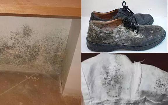 更可怕的,暴雨过后的街道更是像一片汪洋大海,上班都需要划船.