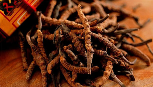 虫草发黑是什么原因 冬虫夏草变黑还能吃不
