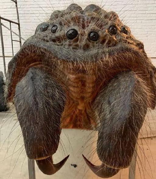 原画设定干货分享鬼吹灯之龙岭迷窟