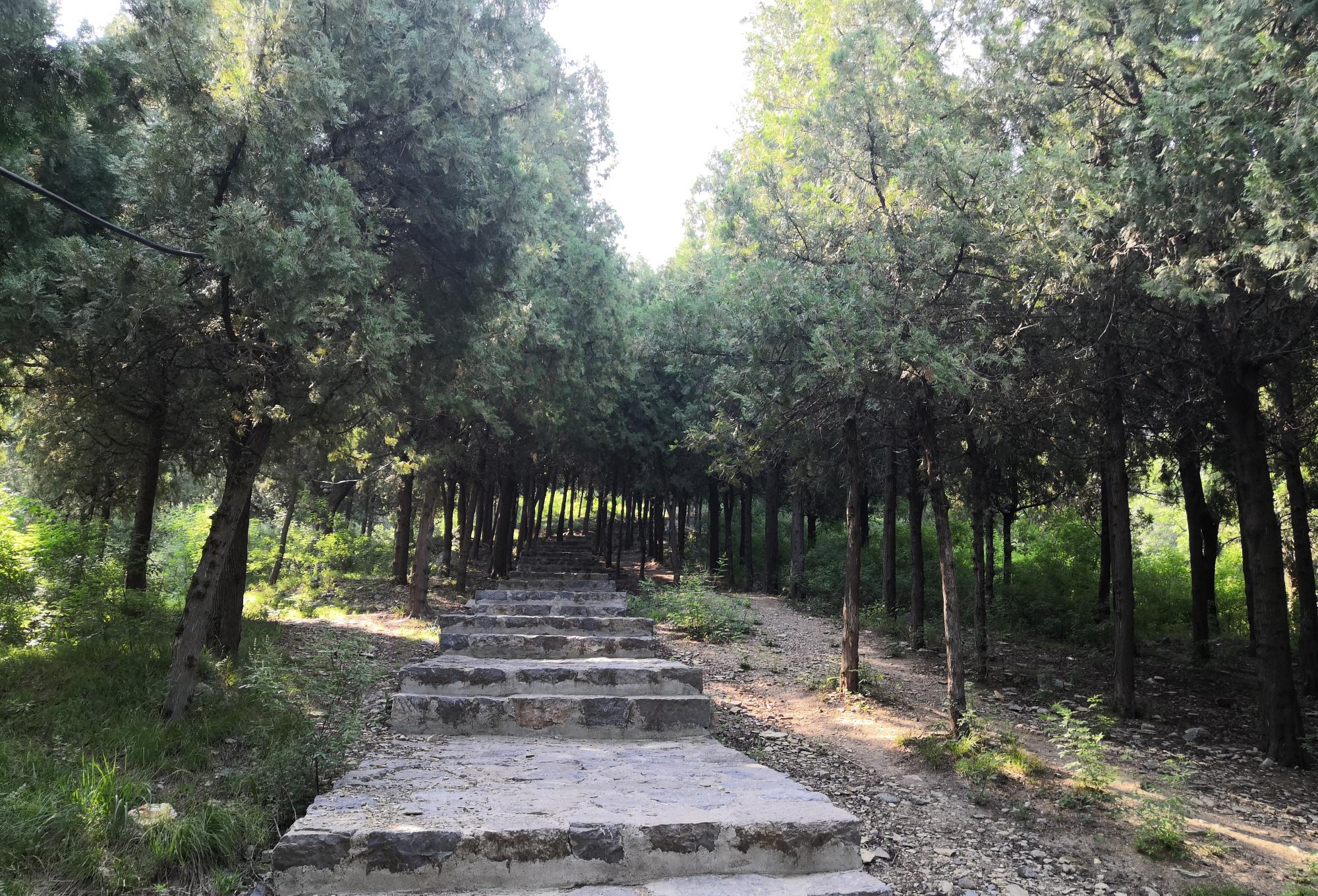 原创山东潍坊青州雀山有白云洞齐王洞知道的人不多