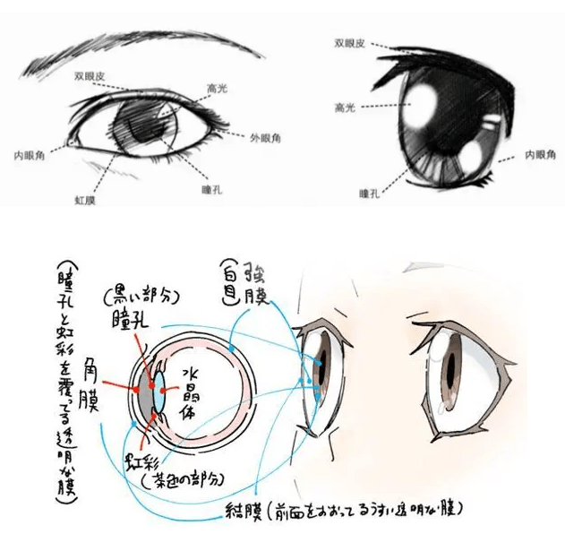 二,眼睛的畫法