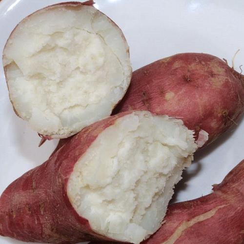 番薯也有大学问丨盘点我国五大种类番薯以及吃法