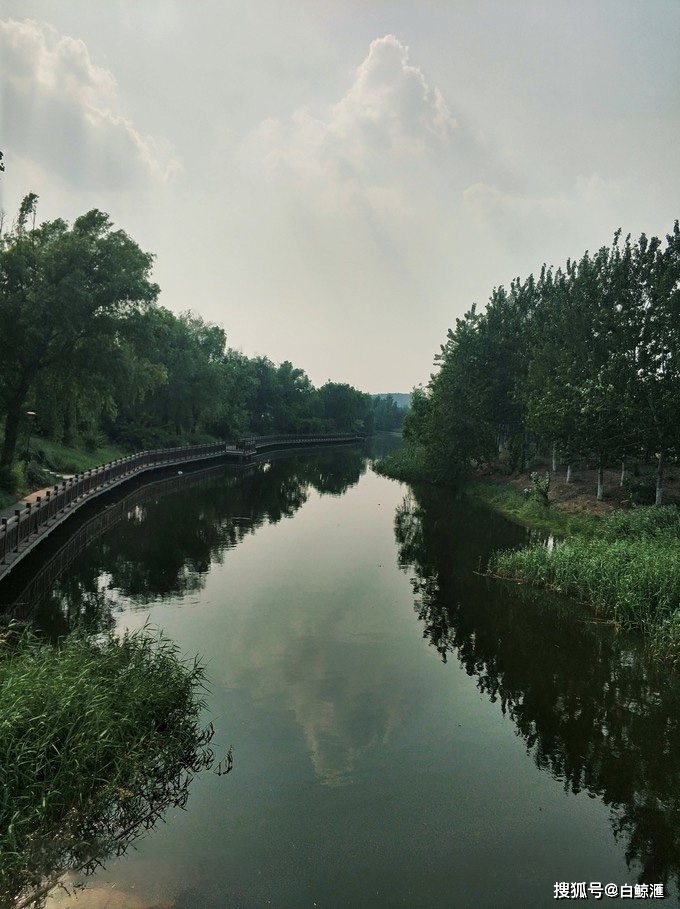 平陰的這個免費溼地公園人少景美快來拍照啊