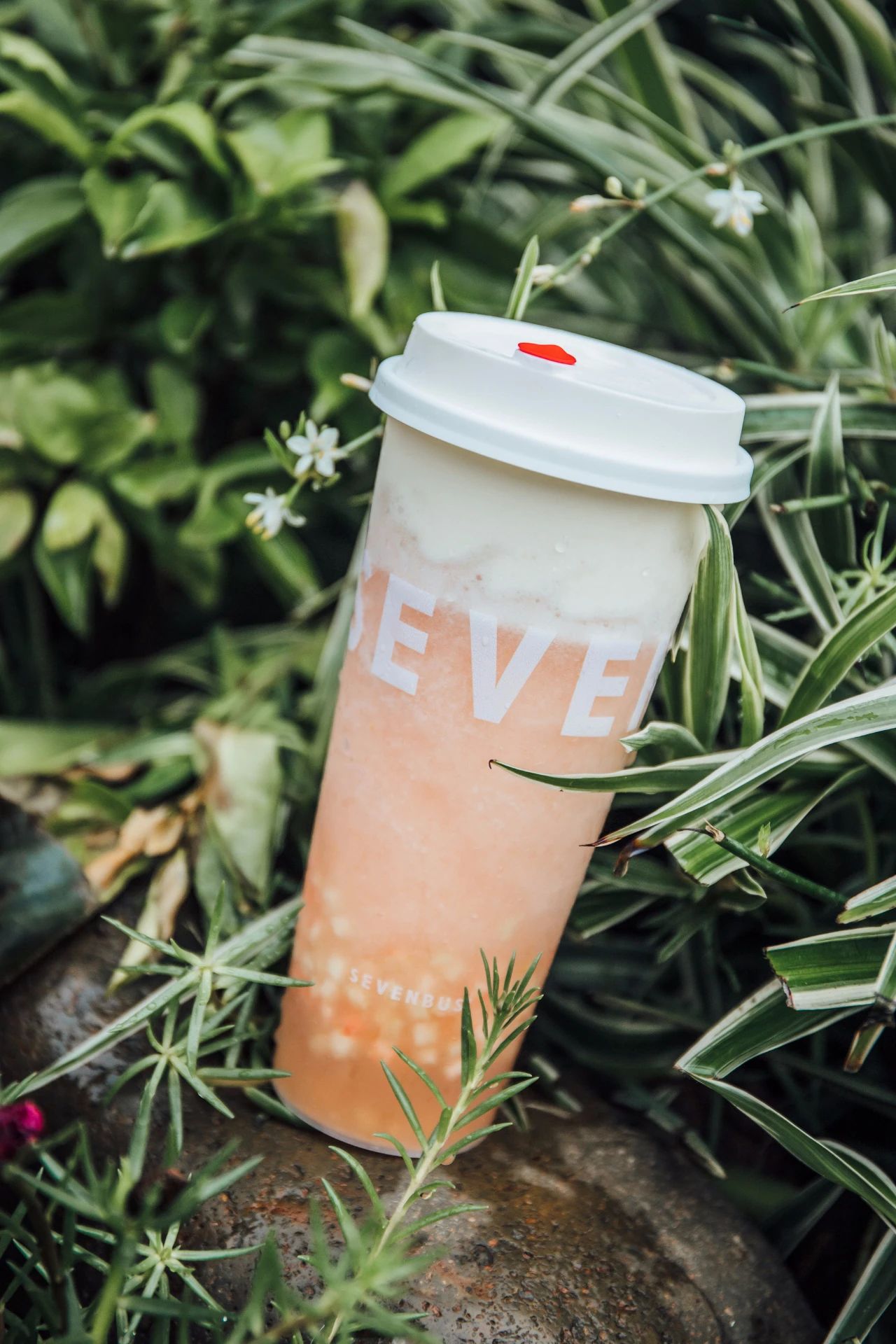 sevenbus"红宝石"茶强势上新,端午宠粉,限量送全新联名周边!