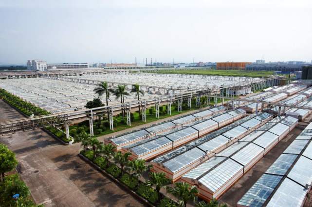 又一个隐形豪诞生,卖个酱油也可以赚千亿身家,却几乎很少人认识_庞康