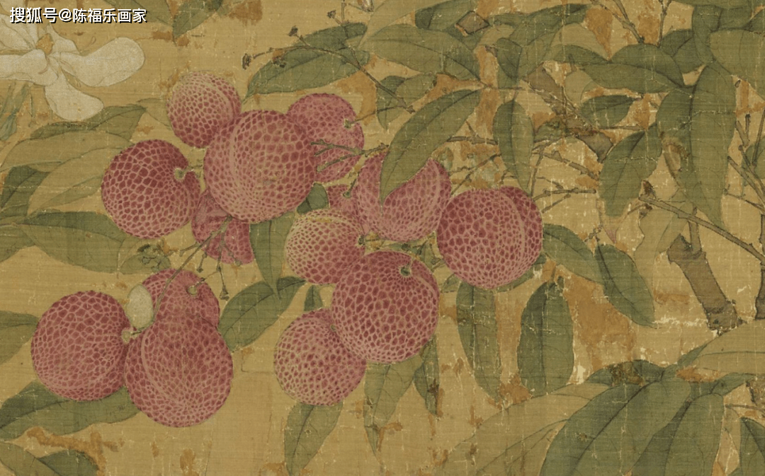 吃荔枝的时节,看看宋徽宗笔下的荔枝图