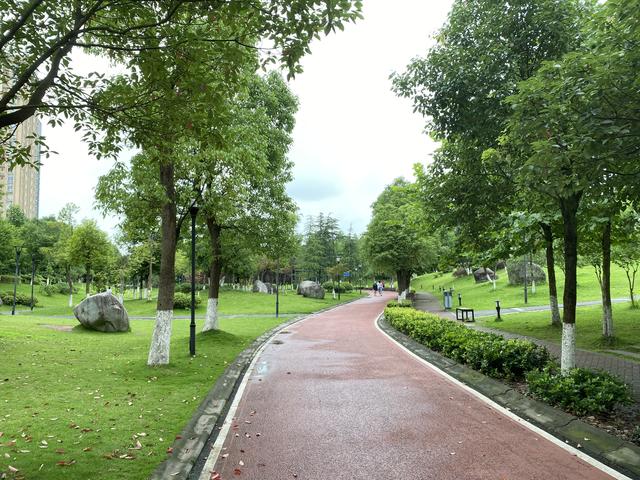 原创藏在重庆大学城中心的公园,占地面积240000㎡,却很少有人前往