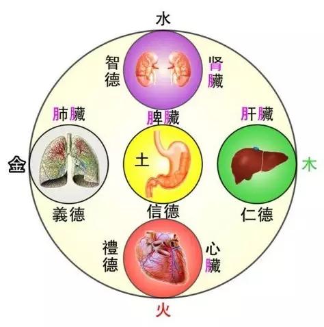 梁一堂:女人,你不懂中医五行,擦什么化妆!品都没用!