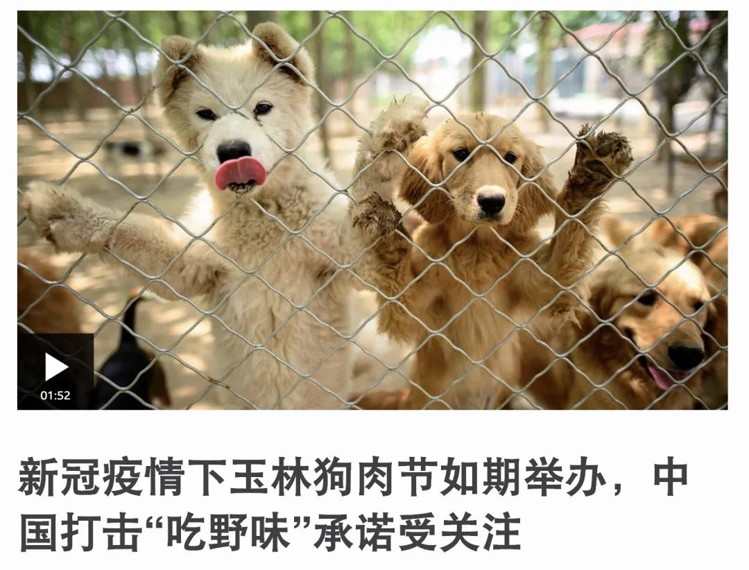 今年6月21日开幕的中国玉林狗肉节引发了各国媒体的关注,德国很多媒体