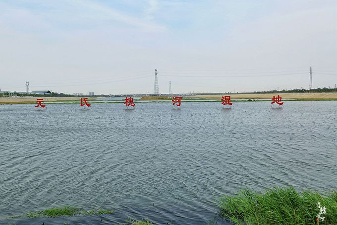 原創河北元氏有一處千島溼地,面積達12萬平方米,是夏季避暑的好去處