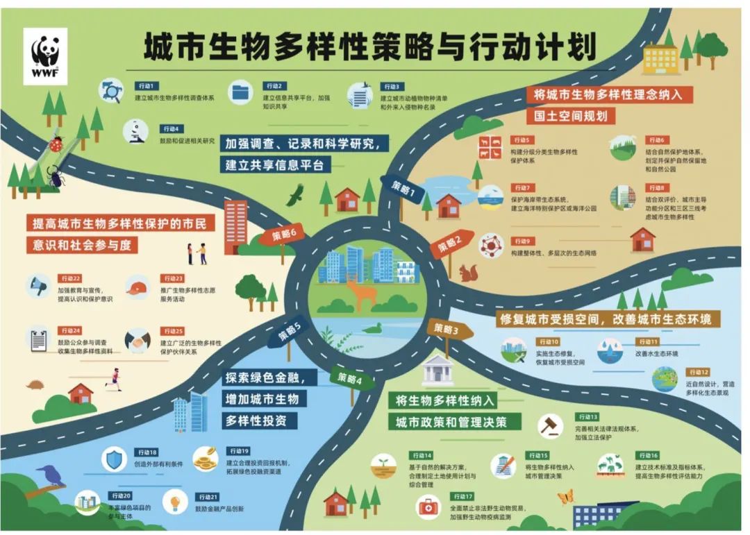 城市生物多样性框架研究:共建地球生命共同体,达成人与自然新共识