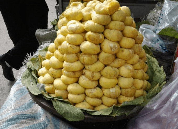 新疆这"杂交水果",新鲜的没人吃,烂了却抢着要,现卖60元一斤