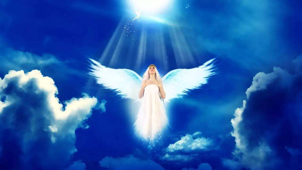 原来天使是真的存在的(天使是死的),牛市 想多了,第2张