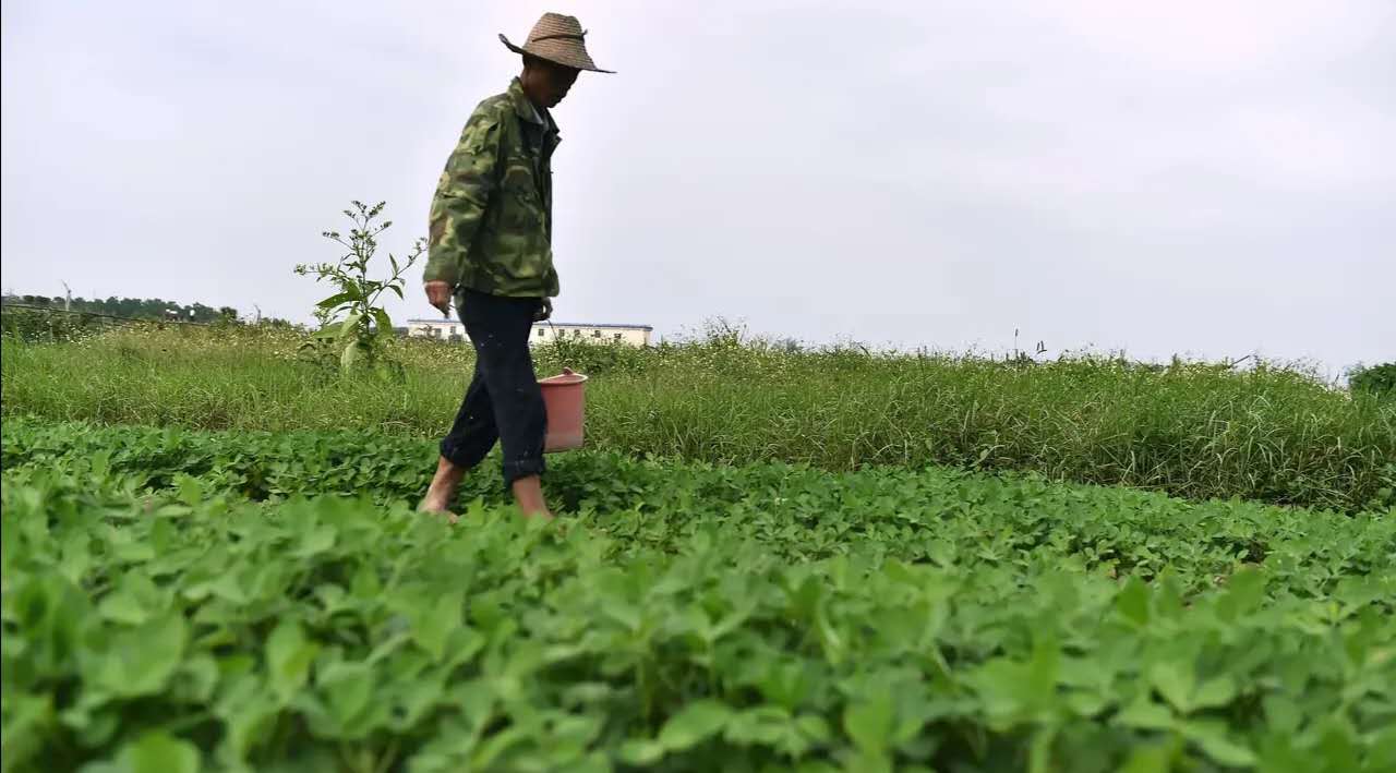 不要鄙夷别人无知,贫穷,粗俗,因为出生,智力,成长环境的不同