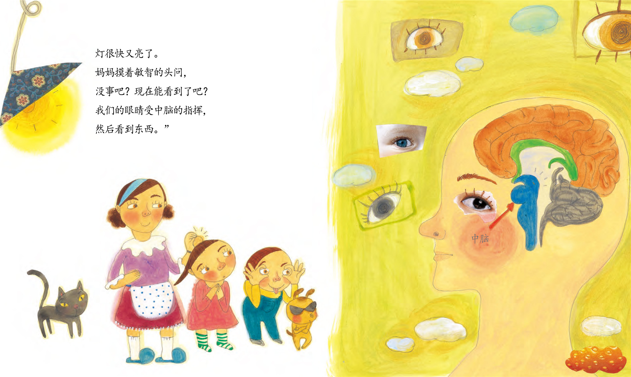 儿童绘本故事推荐《聪明的人脑》