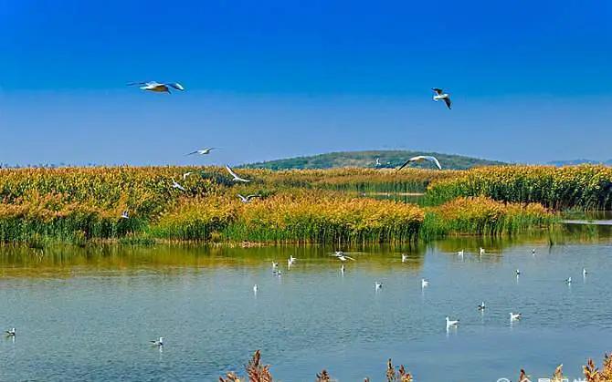 新晋网红打卡圣地:7月3日,曹妃甸奇幻大世界盛大开园