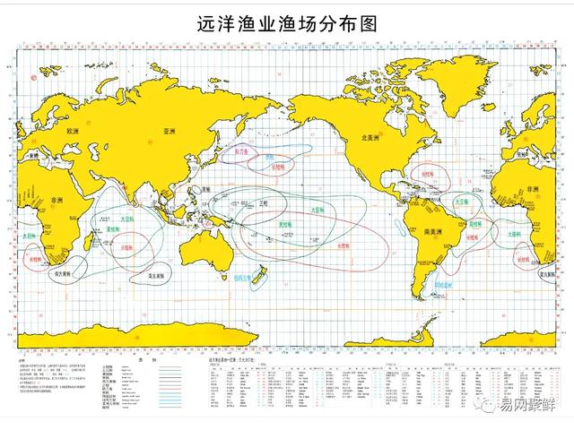 中国远洋休渔敲定今年起西南大西洋东太平洋重点渔场自主休渔
