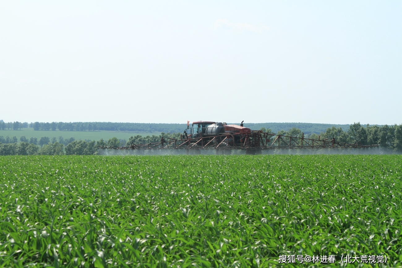 北大荒:红五月农场推进中耕作业,促进作物成长