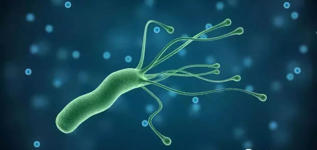 幽门螺旋杆菌多久会恶化?轻松2招,自测是否感染幽门螺杆菌_手机搜狐网