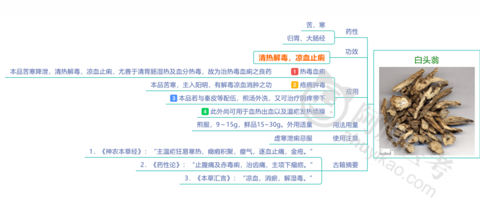 中药学福利8种清热解毒药的超清晰思维导图放送了