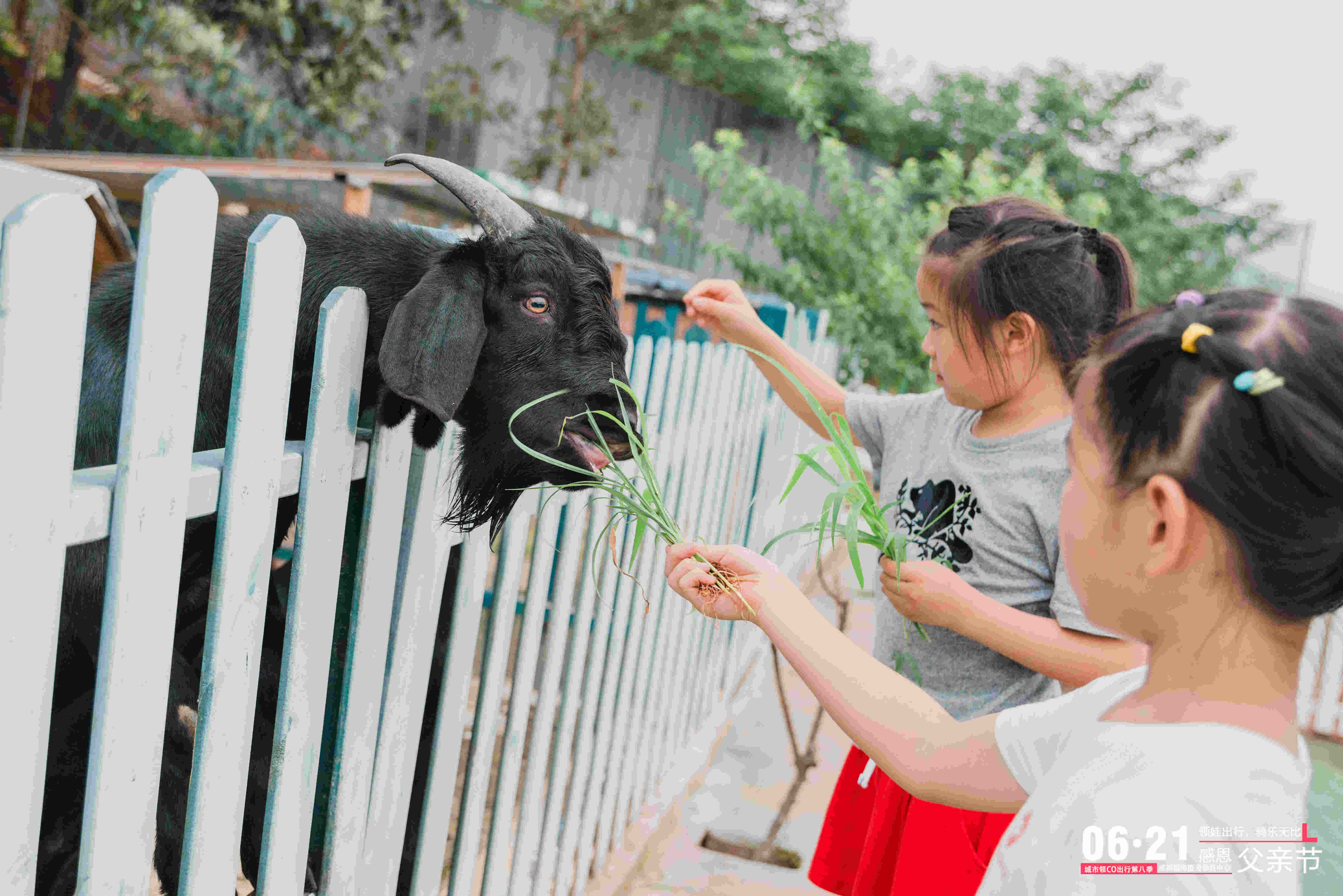 "领娃出行,骑乐无比"——成都城市捷通领克中心车友自驾游