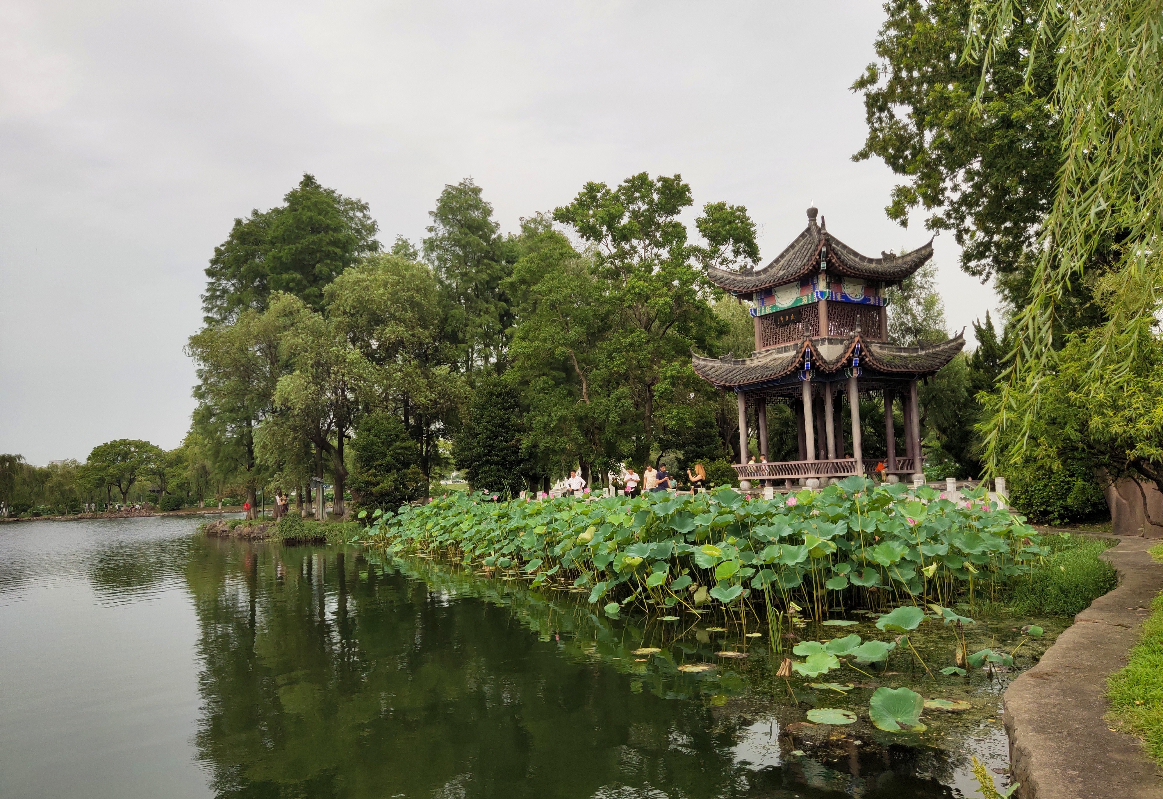 安庆菱湖公园是安徽省建成最早的园林式公园以"菱湖夜月"